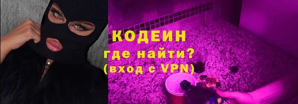 спайс Няндома