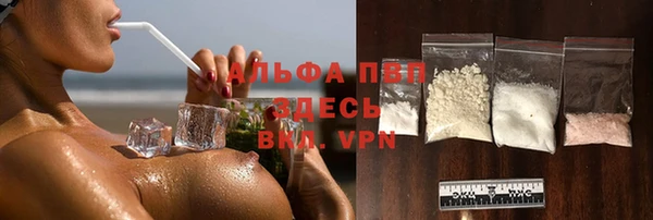 спайс Няндома