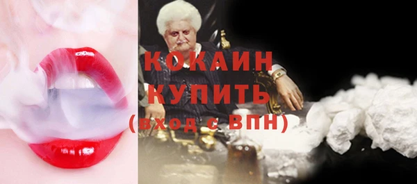 спайс Няндома