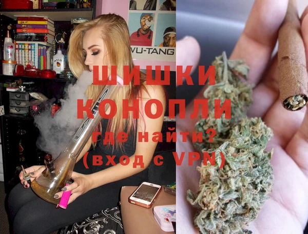 спайс Няндома