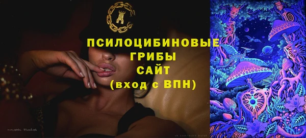 спайс Няндома